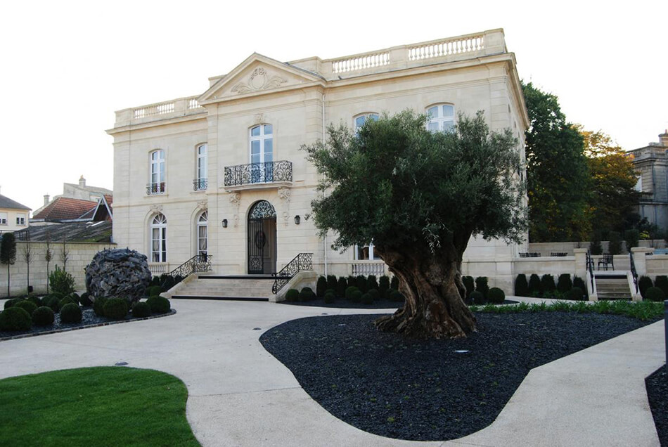 Aménagement arbre olivier la grande maison Joel Robuchon bordeaux - pépinière La Palmeraie