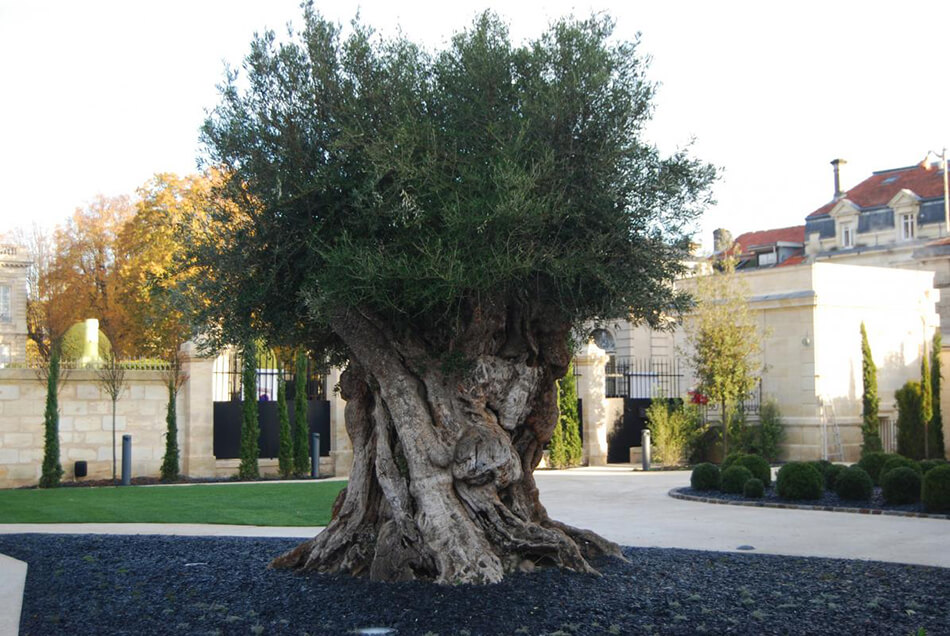 la-grande-maison-joel-robuchon-bernard-magrez-2