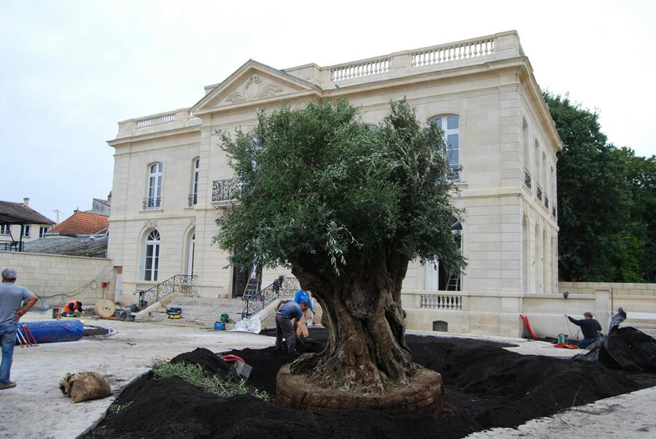 la-grande-maison-joel-robuchon-bernard-magrez-3