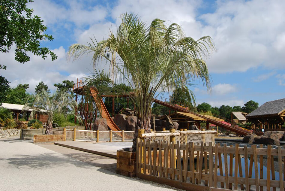 Aménagement palmier parc la coccinelle gujan mestras - La Palmeraie