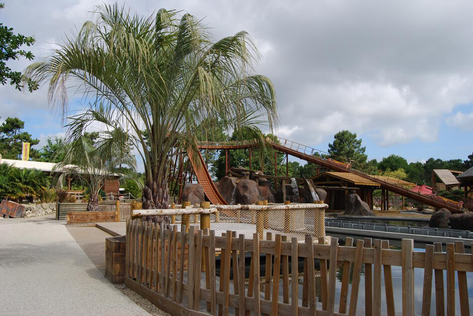 Aménagement palmier parc la coccinelle gujan mestras – La Palmeraie